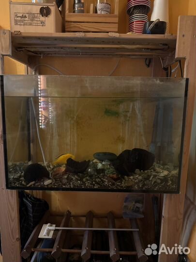 Аквариум комплект