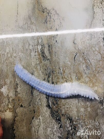 Аксессуары для красоты