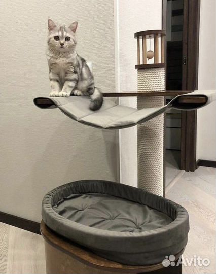 Когтеточка для кошек