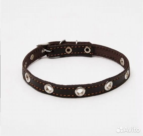 Ошейник для собак мелких пород