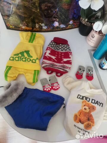 Вещи для маленькой собаки