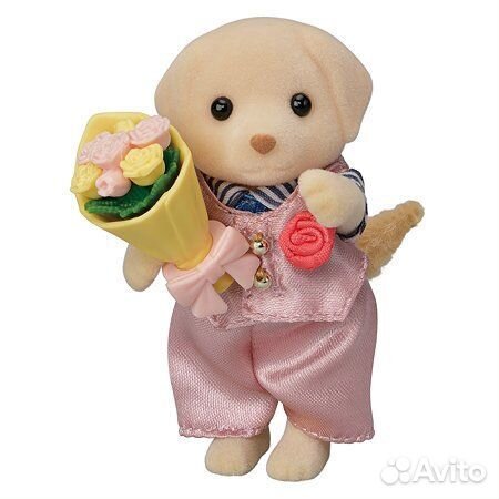 Набор Sylvanian Families Старшие братья