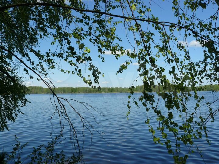 Участок 70 сот. (ИЖС)