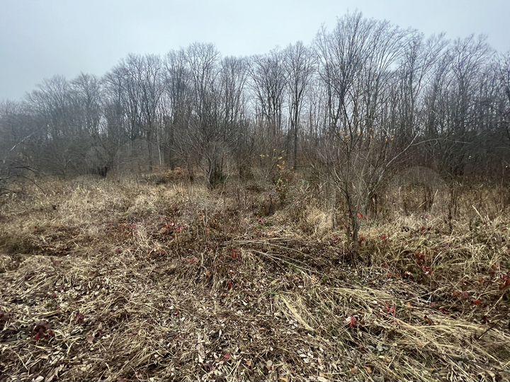 Участок 9,9 сот. (СНТ, ДНП)