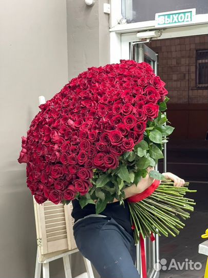 Букет 101 роза