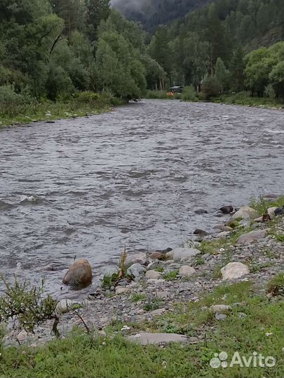 Туризм