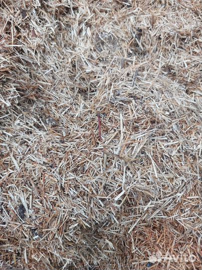 Опилки из Соломы. Стружка. Бесплатно.Много.Сухие
