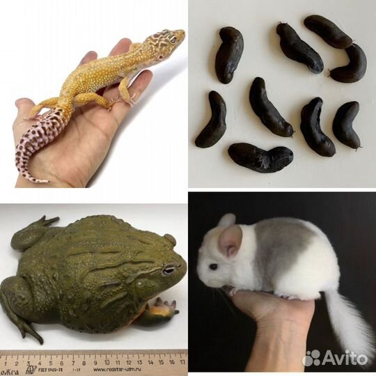 Игра,Угадай, что в коробке’’