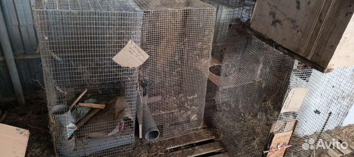 Клетки для кроликов и кур