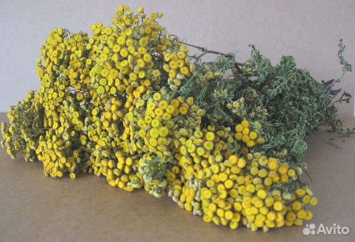 Пижма дикоросы сухоцвет