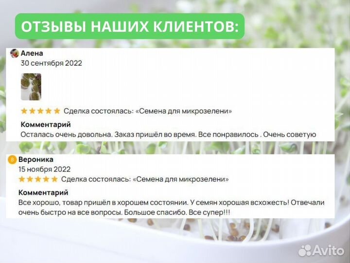 Семена микрозелени для употребления