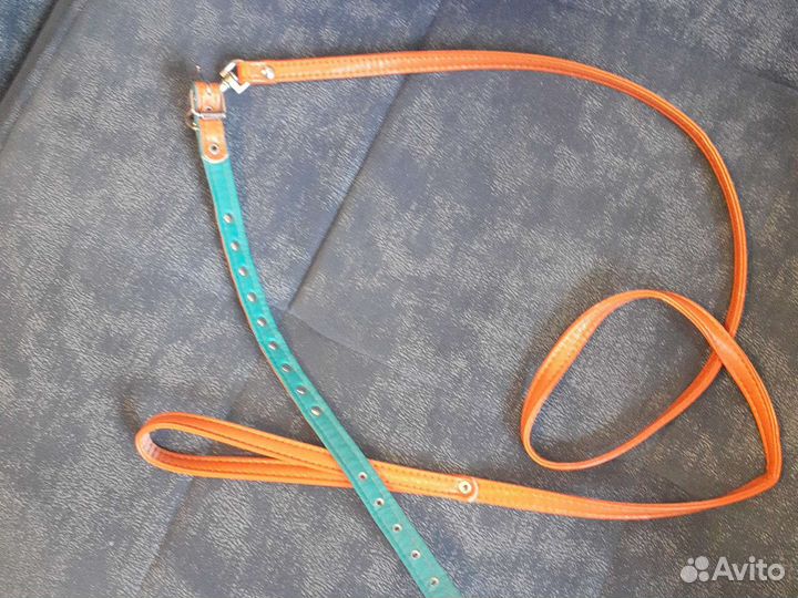 Ошейник с поводком