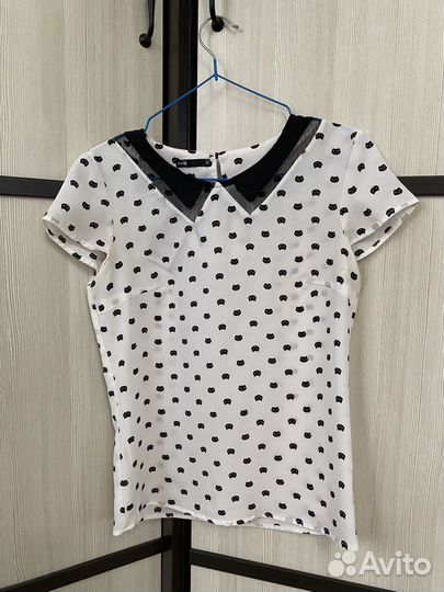 Отдам бесплатно