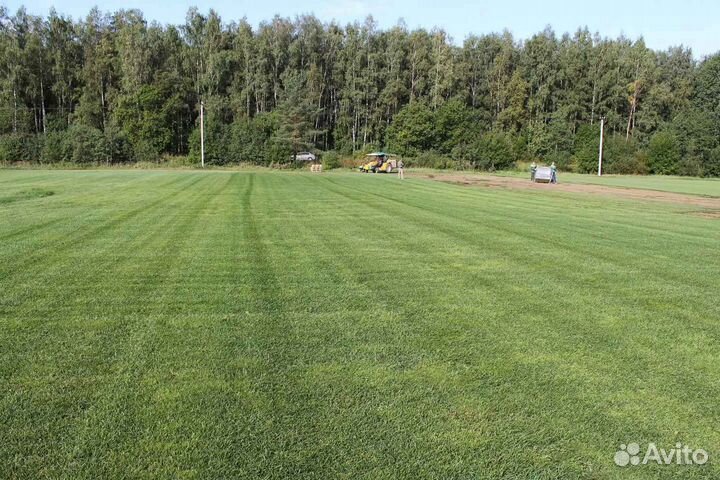 Укладка газона