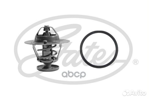 Термостат TH31682G1 (7412-10459) TH31682G1 Gates