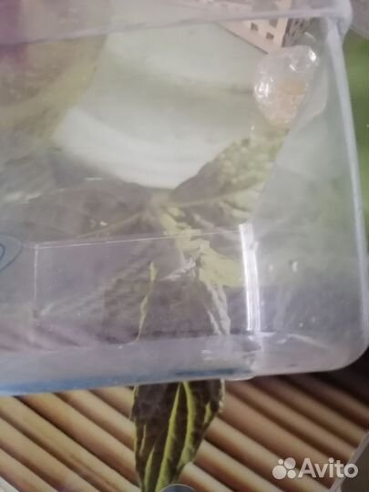 Ящики для холодильника posis