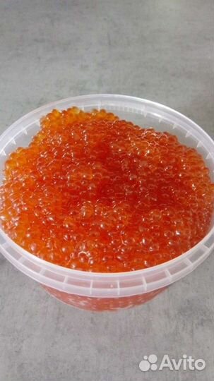 Живая икра - совместная закупка