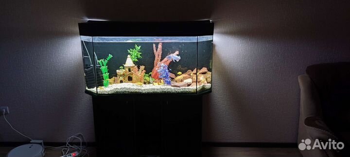 Аквариум с тумбой 300 литров