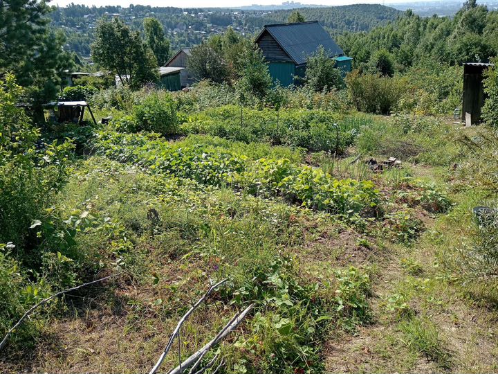 Участок 8,5 сот. (СНТ, ДНП)