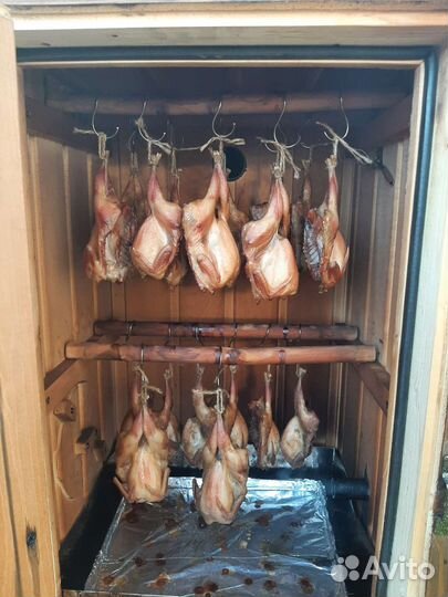 Перепела,яйцо