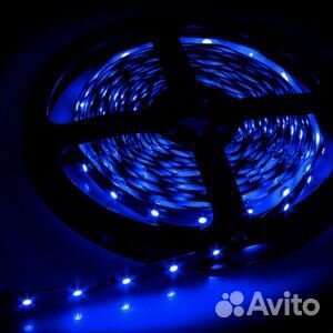 Лента светодиодная синяя на 12V