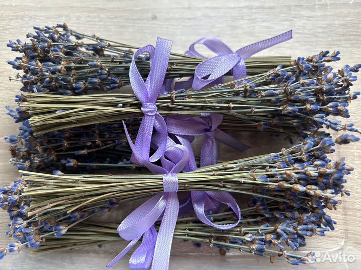 Лаванда сухоцвет