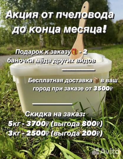 Аккураевый Мед