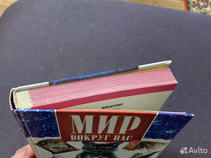 Мир вокруг нас. Тайны, чудеса, загадки