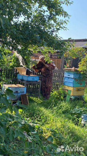 Мед свежий свой деревенский