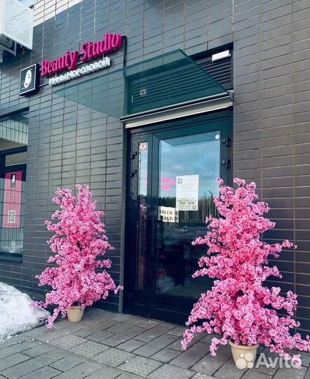 Администратор салона красоты