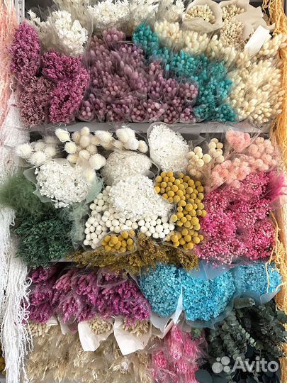 Статица стабилизироанная