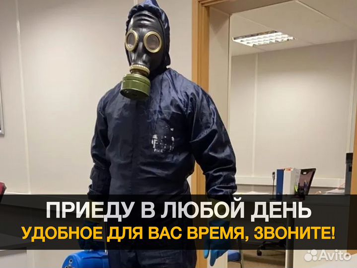 Уничтожение тараканов, клопов, крыс. Дезинфекция