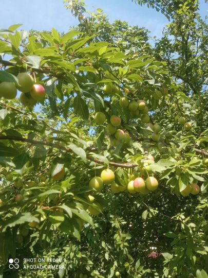 1-к. квартира, 34 м², 4/9 эт.