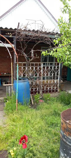 Дом 50 м² на участке 3 сот.