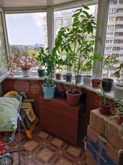 3-к. квартира, 70,5 м², 5/14 эт.