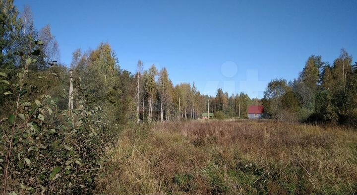 Участок 10,4 сот. (СНТ, ДНП)