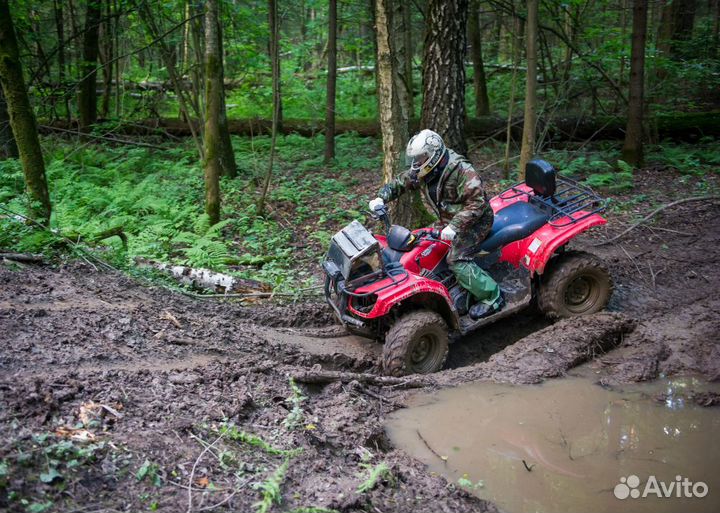 Прокат квадроциклов