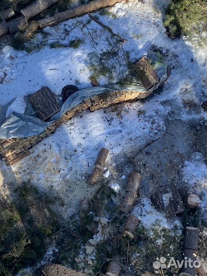 Спил валка удаление рубка обрезка деревьев