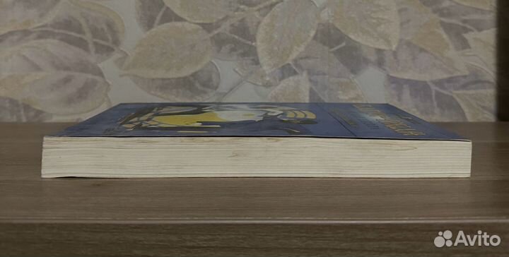 Багуа-Чжан. Эмэйская школа. Теория и практика