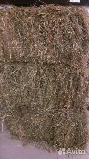 Сено в брикетах, солома