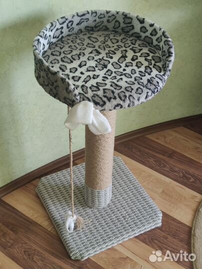 Когтеточка