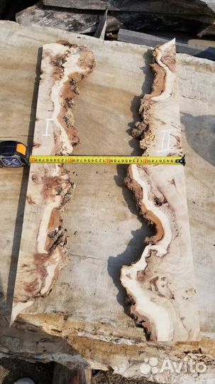 Заготовка, слэб, из горного капового тополя