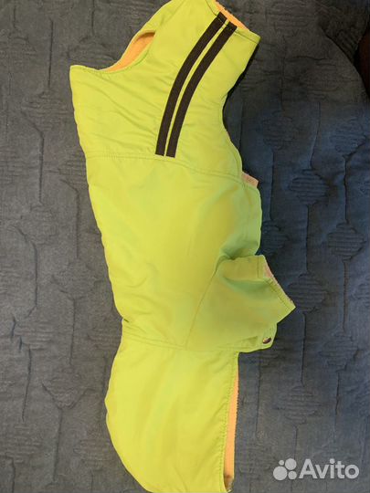 Одежда для собаки