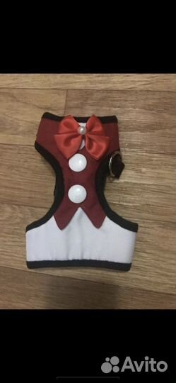 Лук для собачки