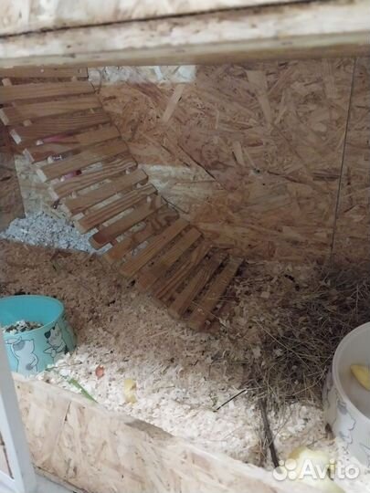 Клетка- вольер для грызунов