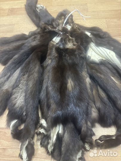 Шкурки соболя