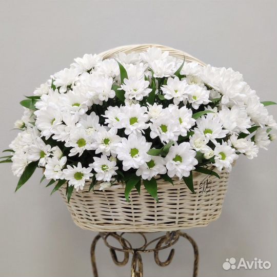 Хризантема в корзине Цветы в Красноярске