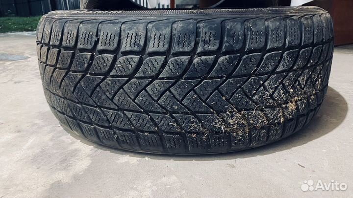 Delinte Winter WD6 205/55 R17 27V