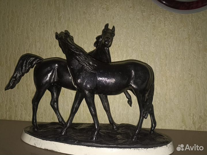 Кони на воле