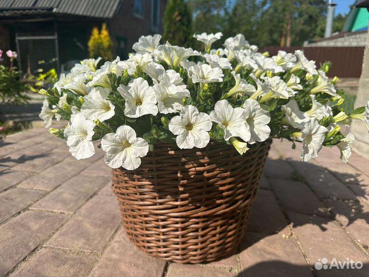 Кашпо из искусственного ротанга